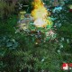 new_video_legends_of_persia2